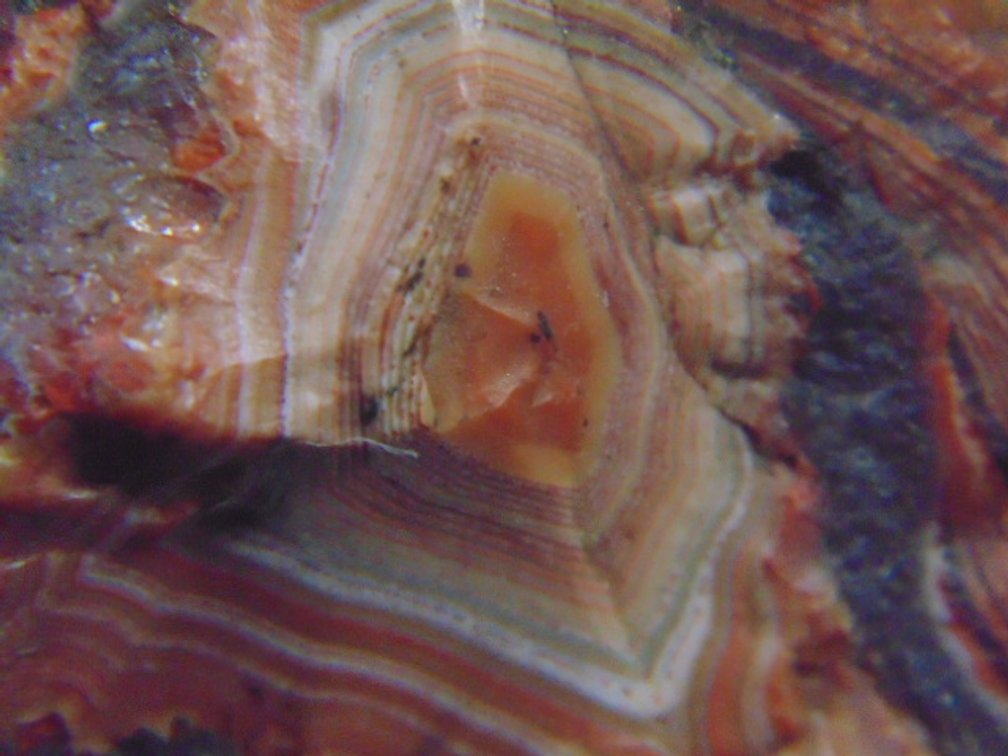 A 2.5 oz Lake Superior Agate. A nice paint agate with a orange banded face