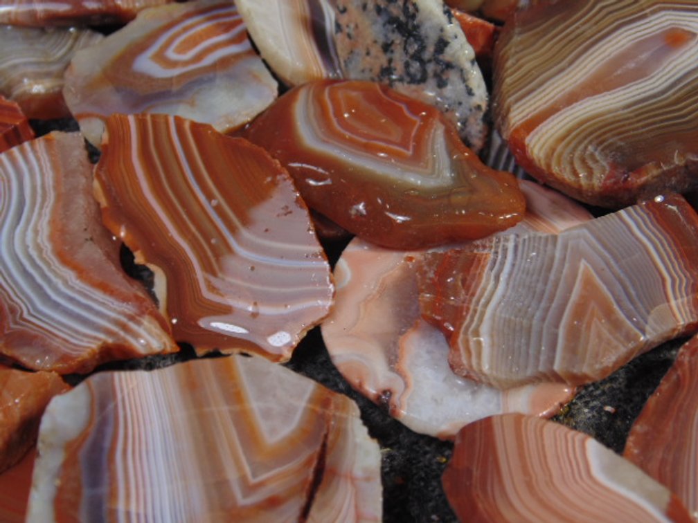An assortment of Lake Superior Agate slabs, 8.3 ozs