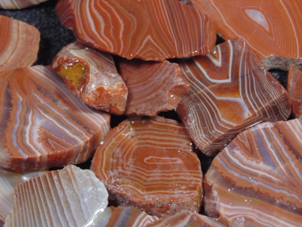 An assortment of Lake Superior Agate slabs, 8.3 ozs