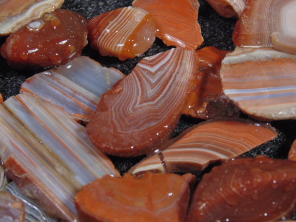 An assortment of Lake Superior Agate slabs, 4.5 ozs