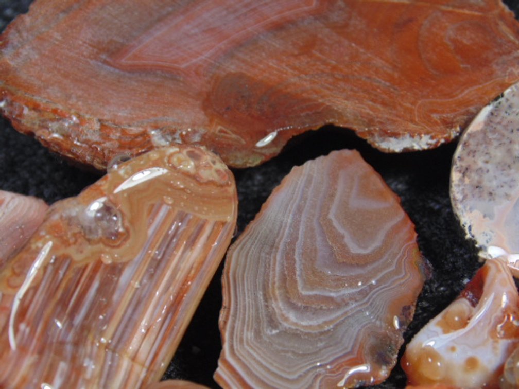 An assortment of Lake Superior Agate slabs, 4 ozs
