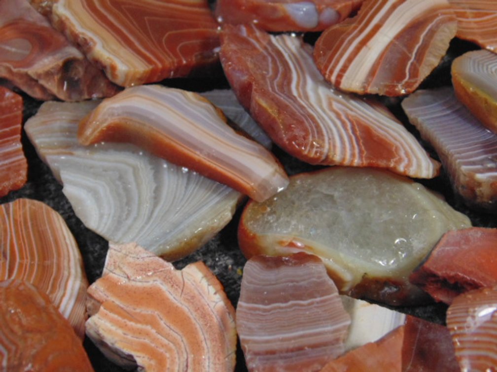 An assortment of Lake Superior Agate slabs, 9.4 ozs