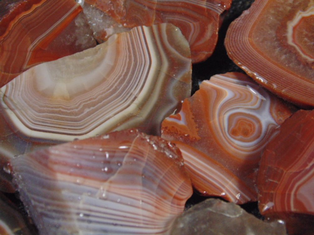 An assortment of Lake Superior Agate slabs, 7.6 ozs
