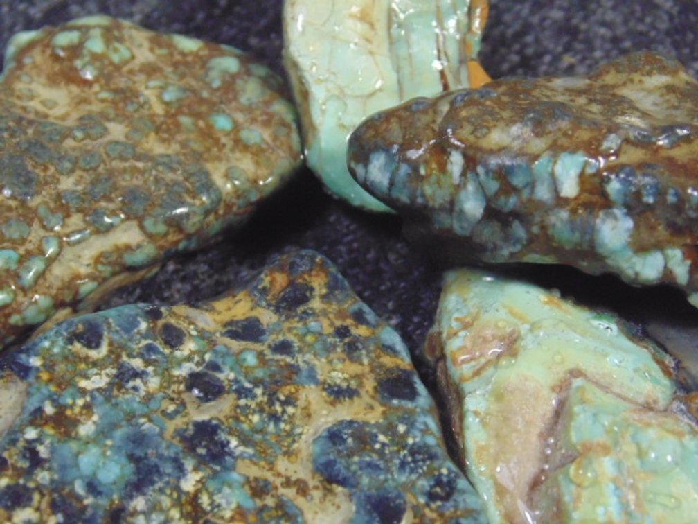 Five pieces of Variscite, 3.6 ozs