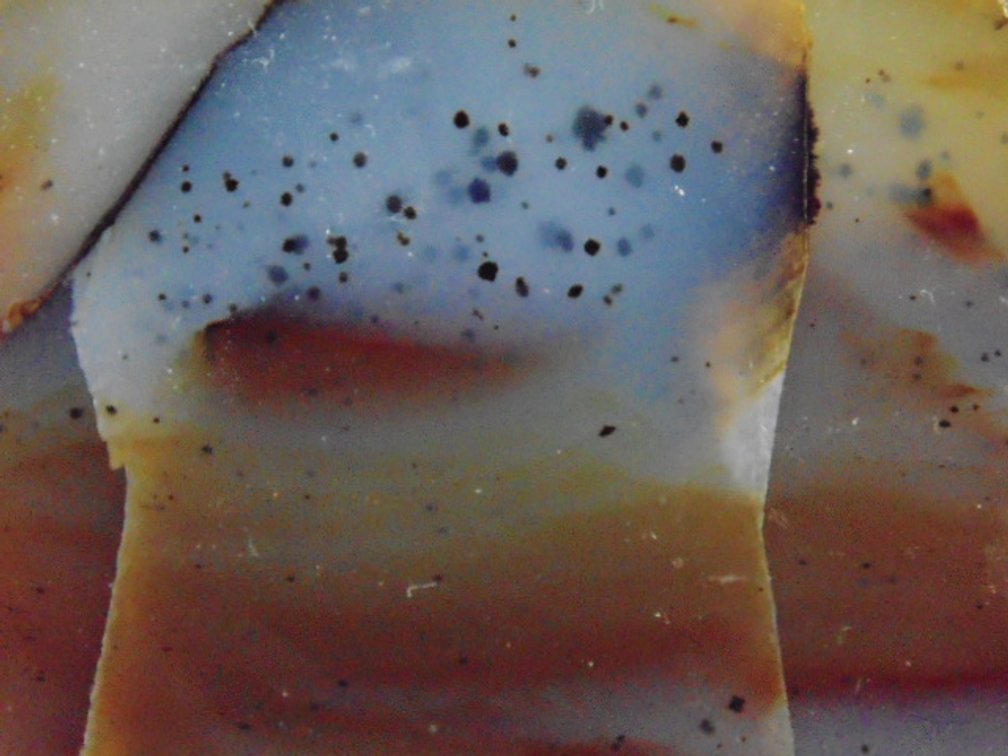 A high quality 10.2 oz face polished Montana Moss Agate
