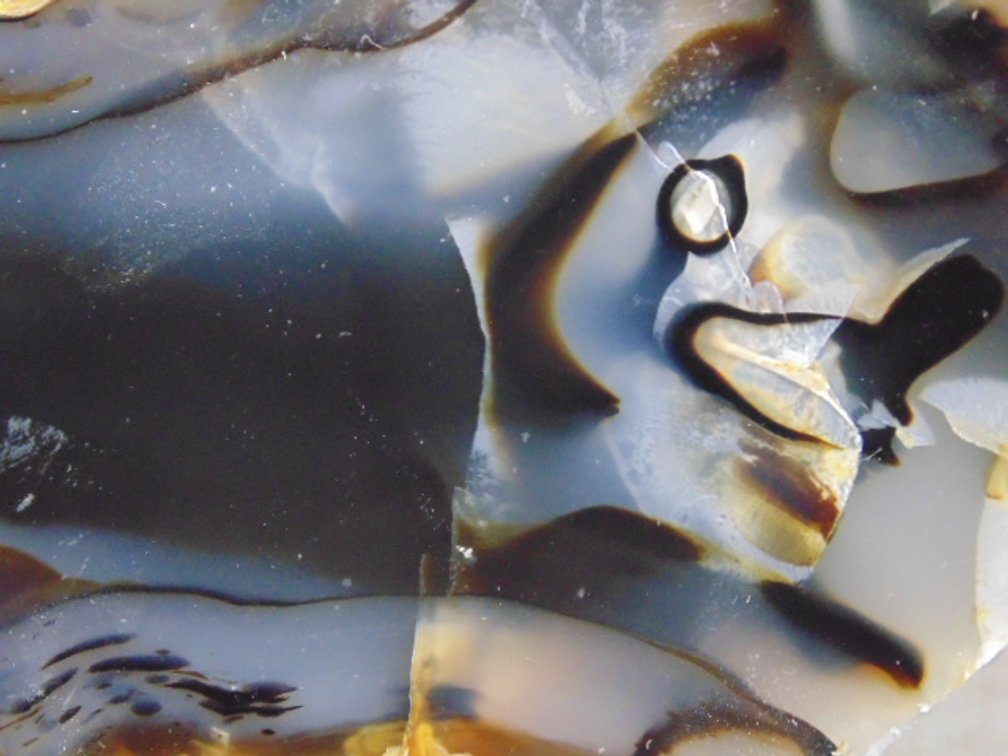 A high quality 10.5 face polished Montana Moss Agate