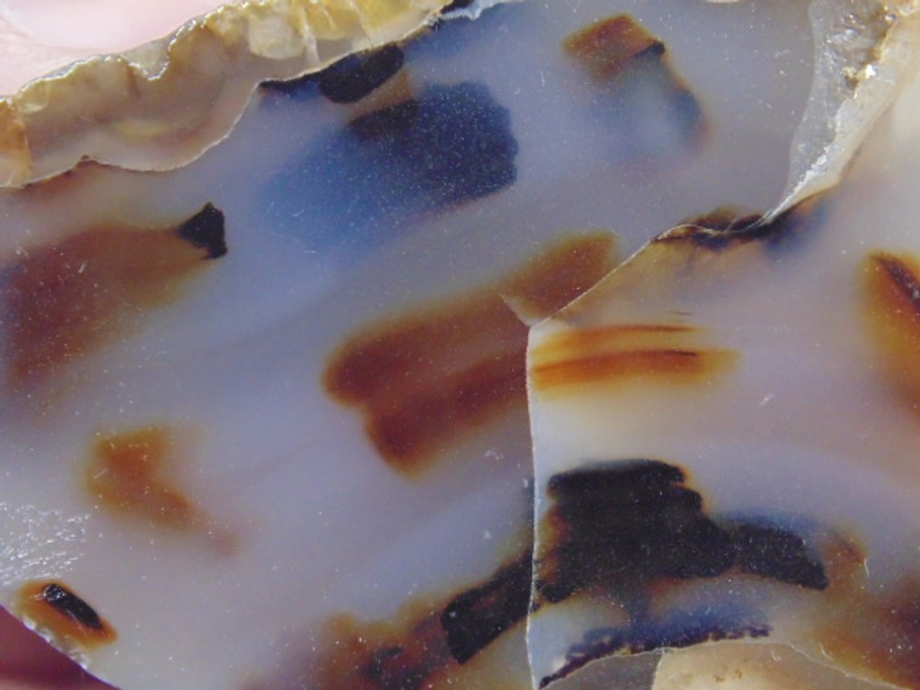 A high quality 3.4 oz face polished Montana Moss Agate