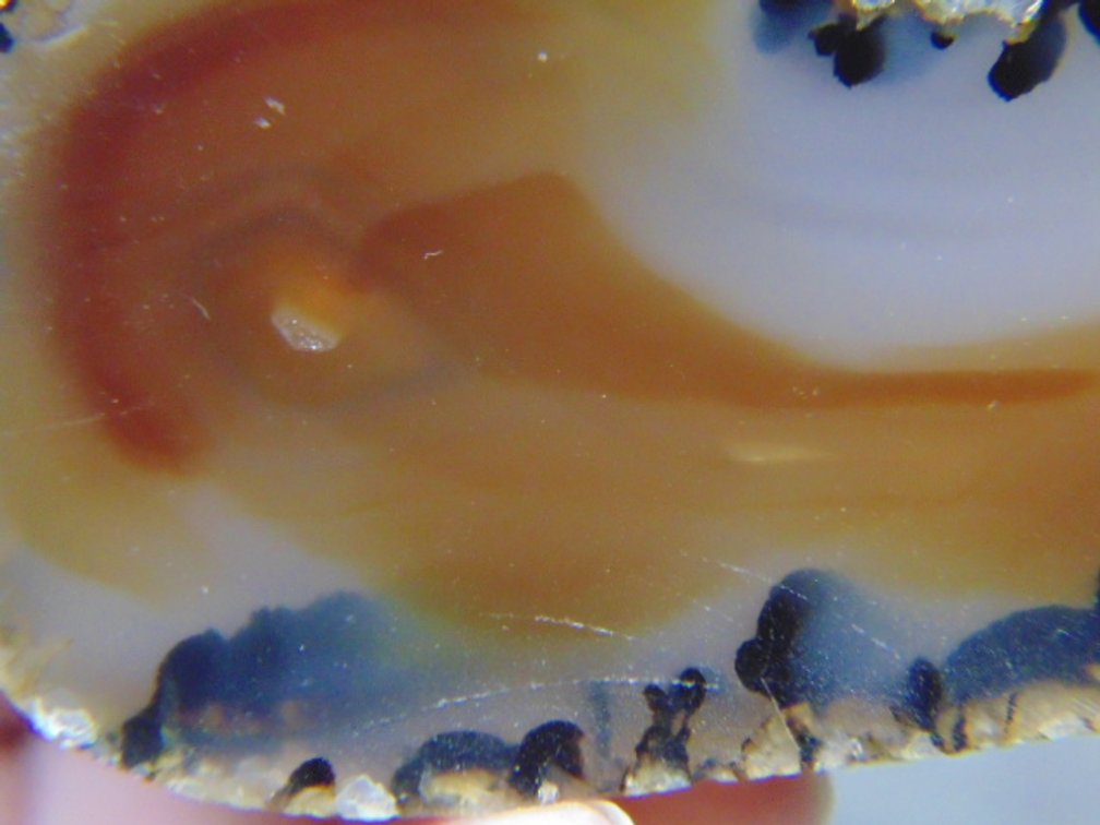 A high quality 6 oz face polished Montana Moss Agate