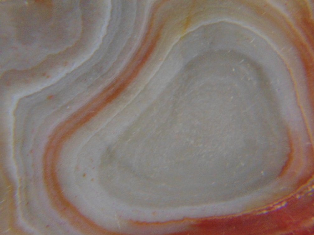 A beautifully banded 7.3 oz Lake Superior Agate half