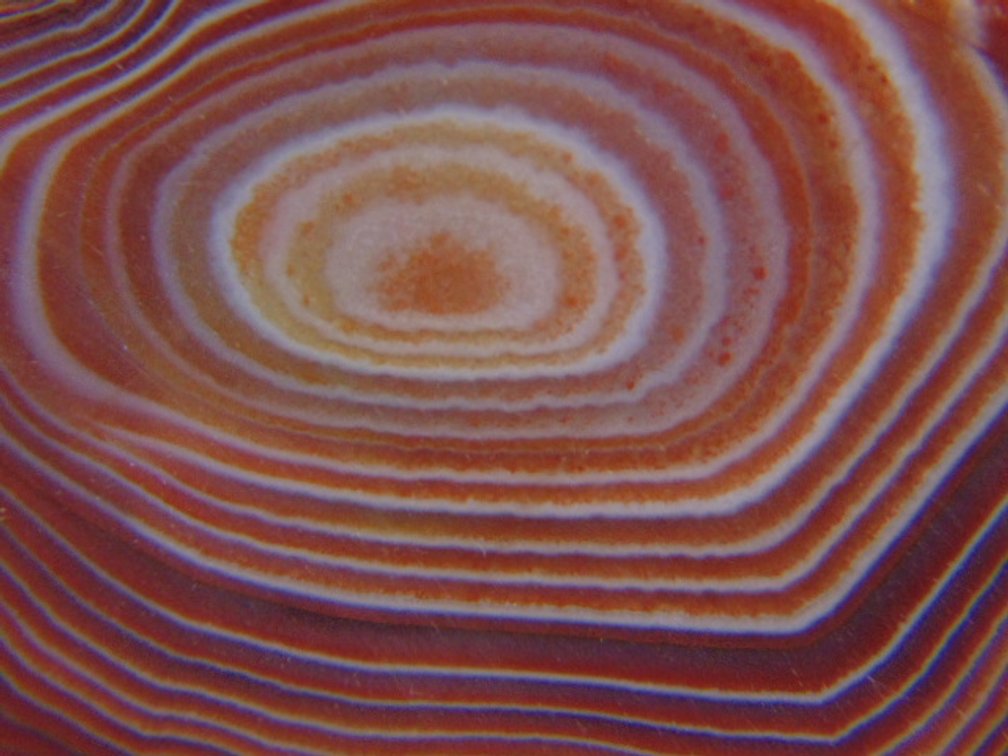 A beautifully banded 1.7 oz Lake Superior Agate half