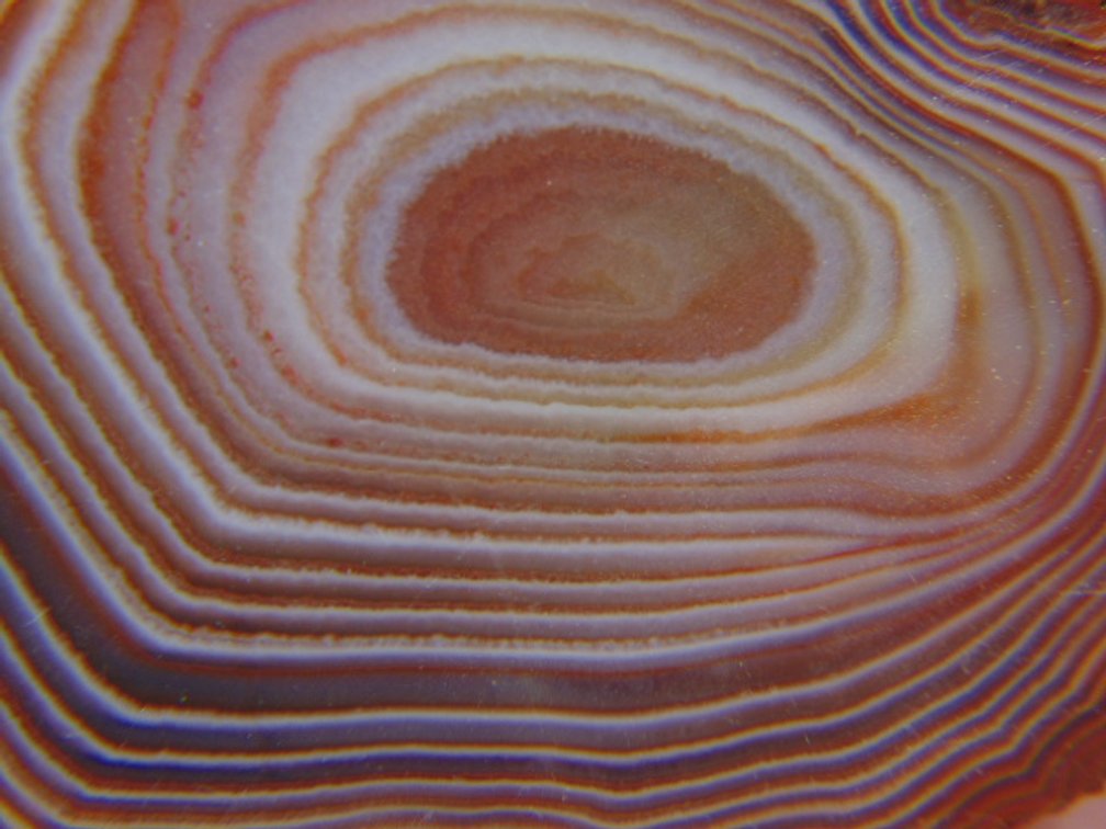 A beautifully banded 1.6 oz Lake Superior Agate half, this is the other half to #257