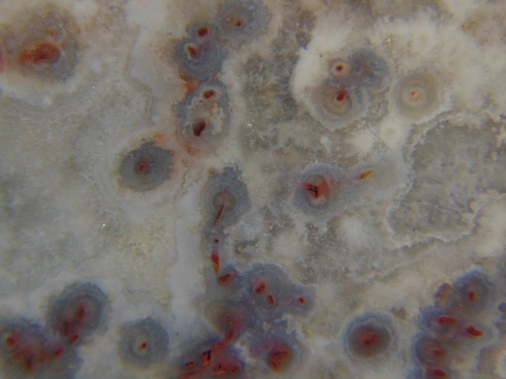A beautiful 2.7 oz Lake Superior Agate end cut with very interesting patterns
