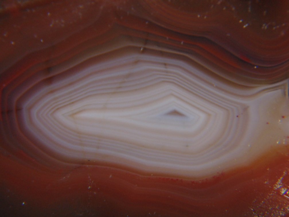 A beautifully banded 6.5 oz Lake Superior Agate  half