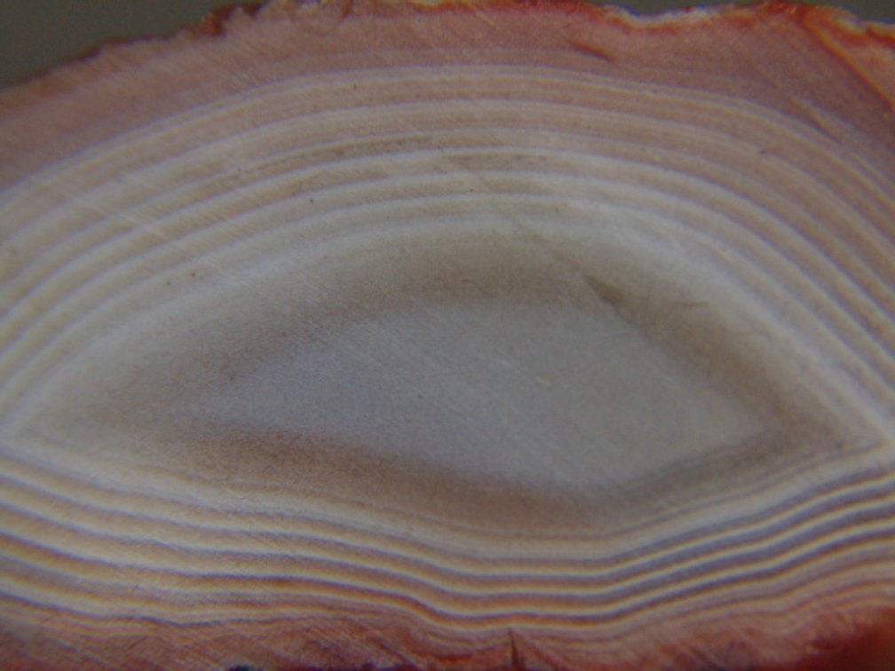A beautifully banded 3.6 oz Lake Superior Agate half