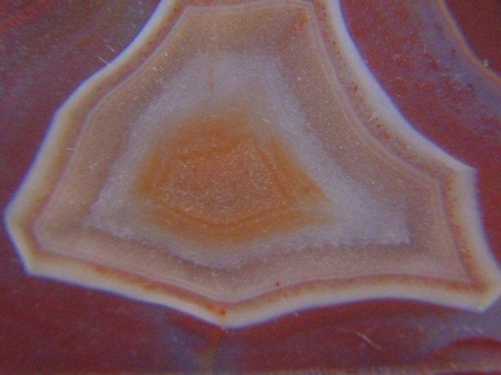 A beautifully banded 2.4 oz Lake Superior Agate half