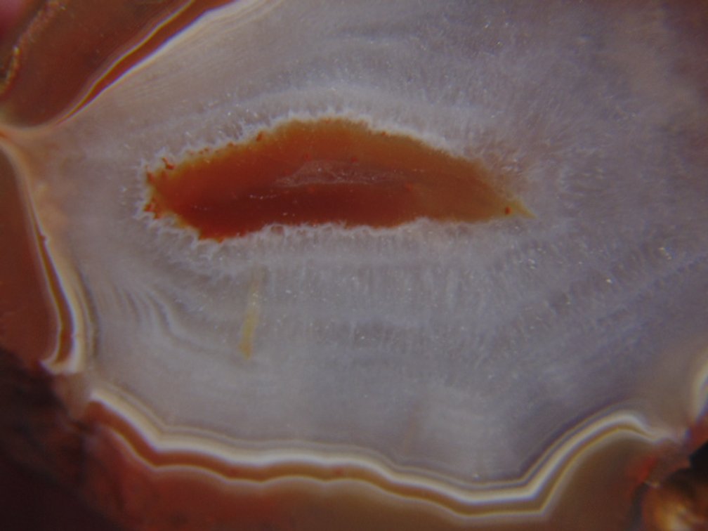 A beautifully banded 6.5 oz Lake Superior Agate  half