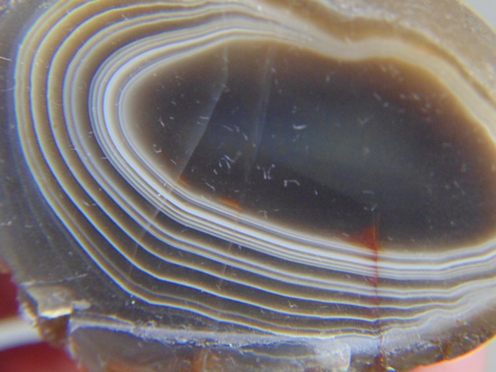 A beautifully banded 2.8 oz Lake Superior Agate half
