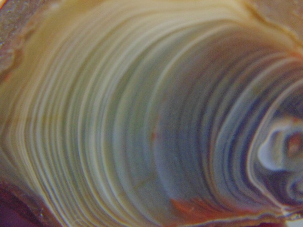 A beautifully banded 3.4 oz Lake Superior Agate half