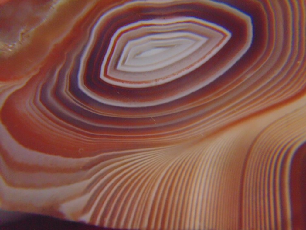 A beautifully banded 1.7 oz Lake Superior Agate half