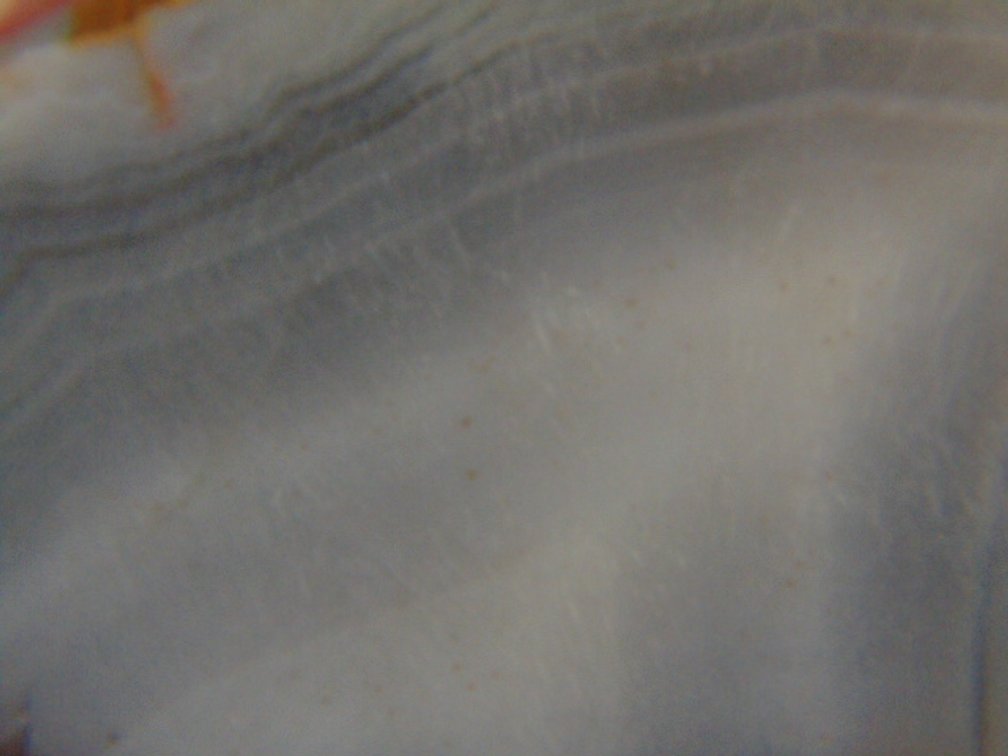 A beautifully banded 1.5 oz Lake Superior Agate half