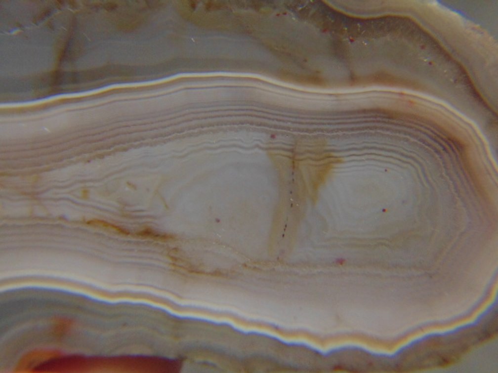 A beautifully banded 2.1 oz Lake Superior Agate end cut