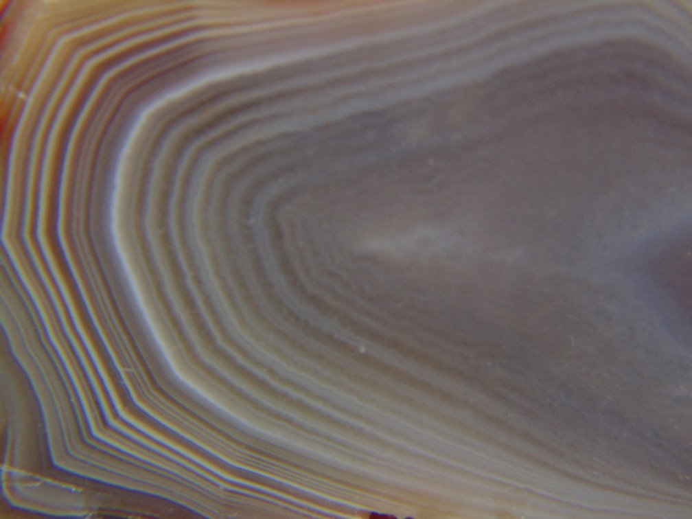 A beautifully banded 2.5 oz Lake Superior Agate half