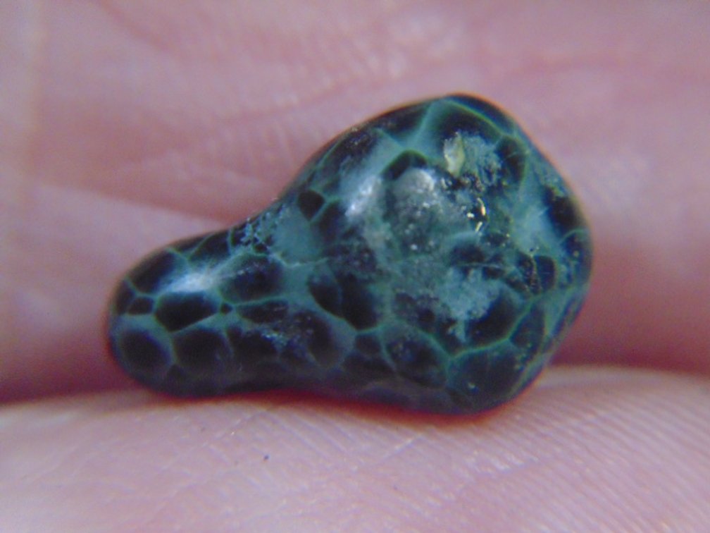 A face polished Greenstone nugget, 1 gram