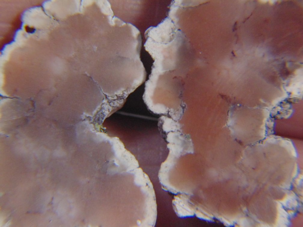 A pair of Datolite halves from Michigan, 10.4 grams