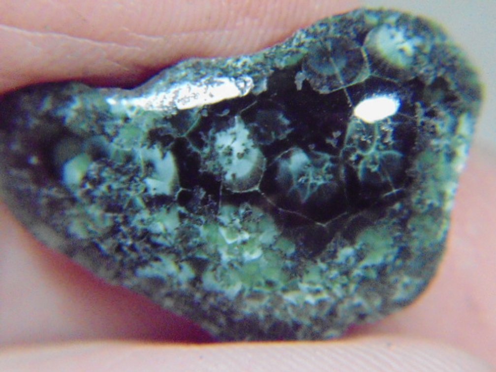 A face polished Greenstone nugget, 2.4 grams