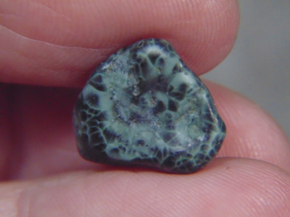 A rough Greenstone nugget, 1.6 grams
