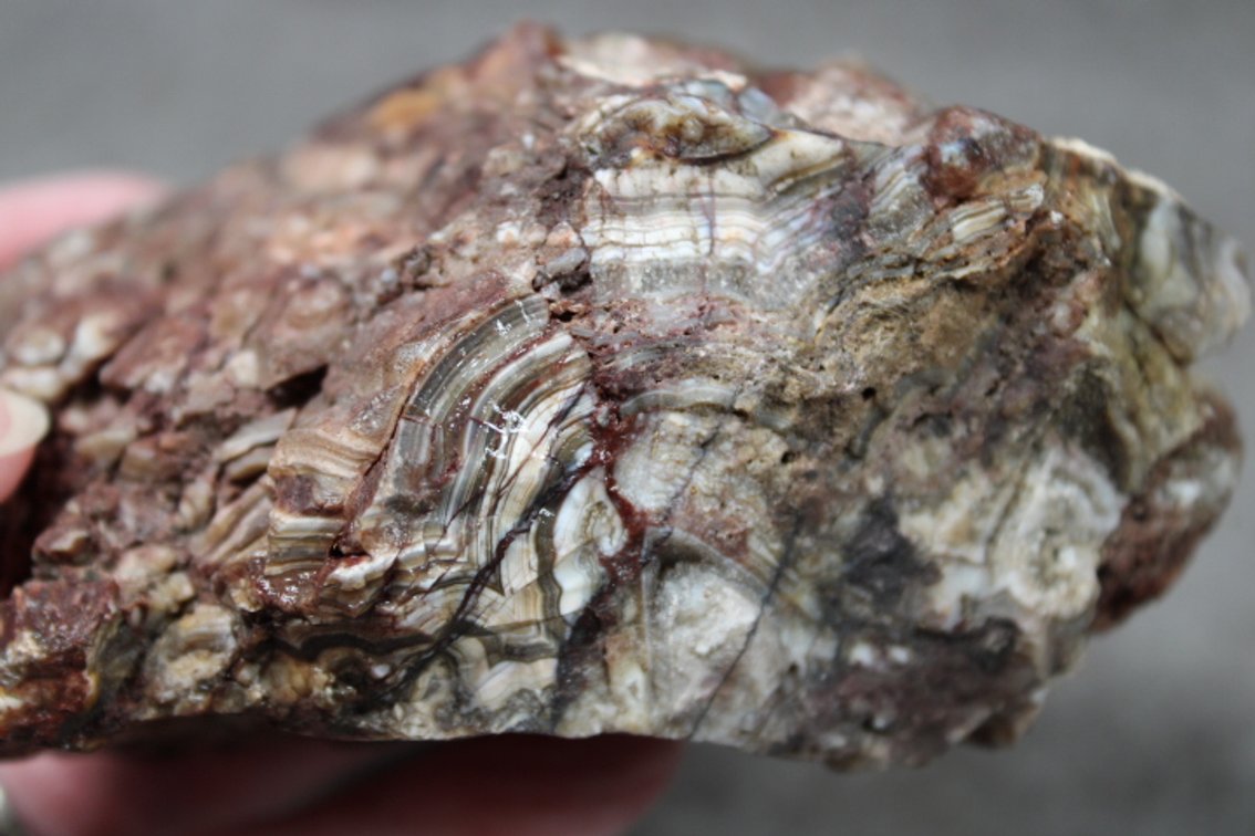 A 15 oz Mexican Lace Agate