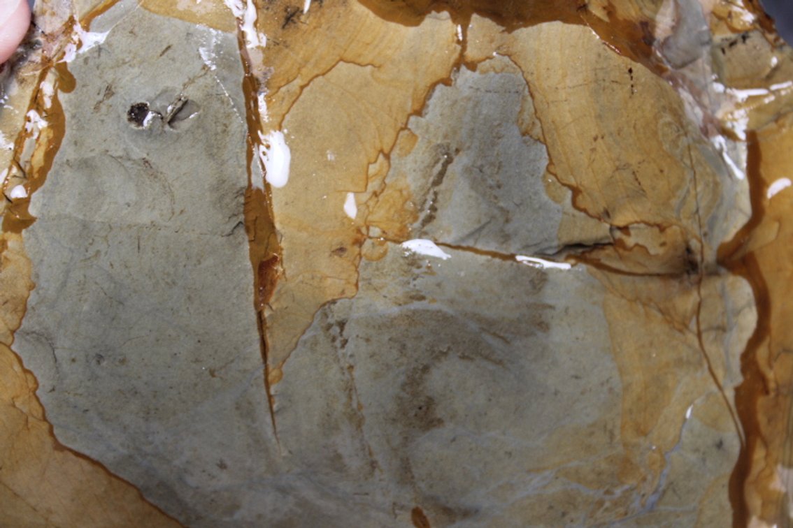 A 2 lb 8 oz Royal Imperial Jasper