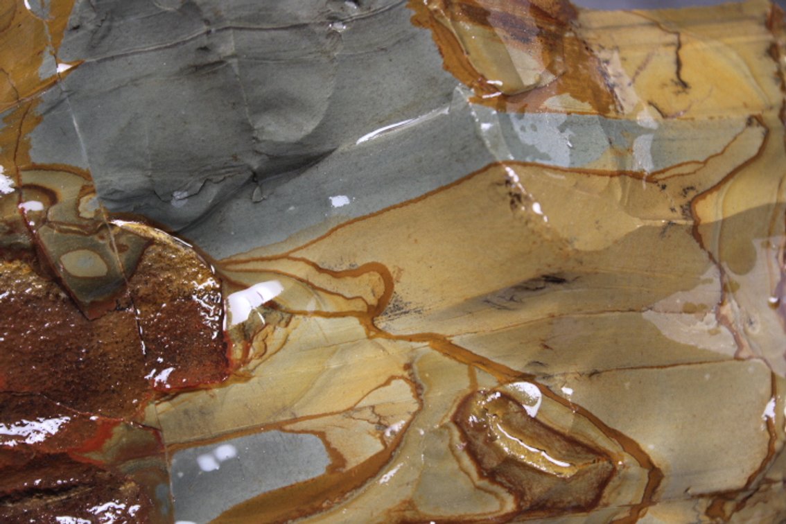 A 2 lb 4 oz piece of Owyhee Jasper