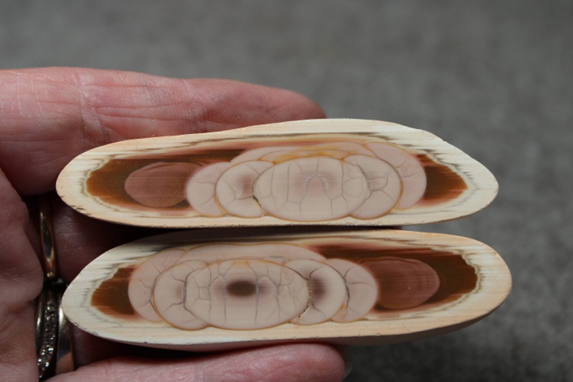 Two halves of Royal Imperial Jasper, 1.9 ozs