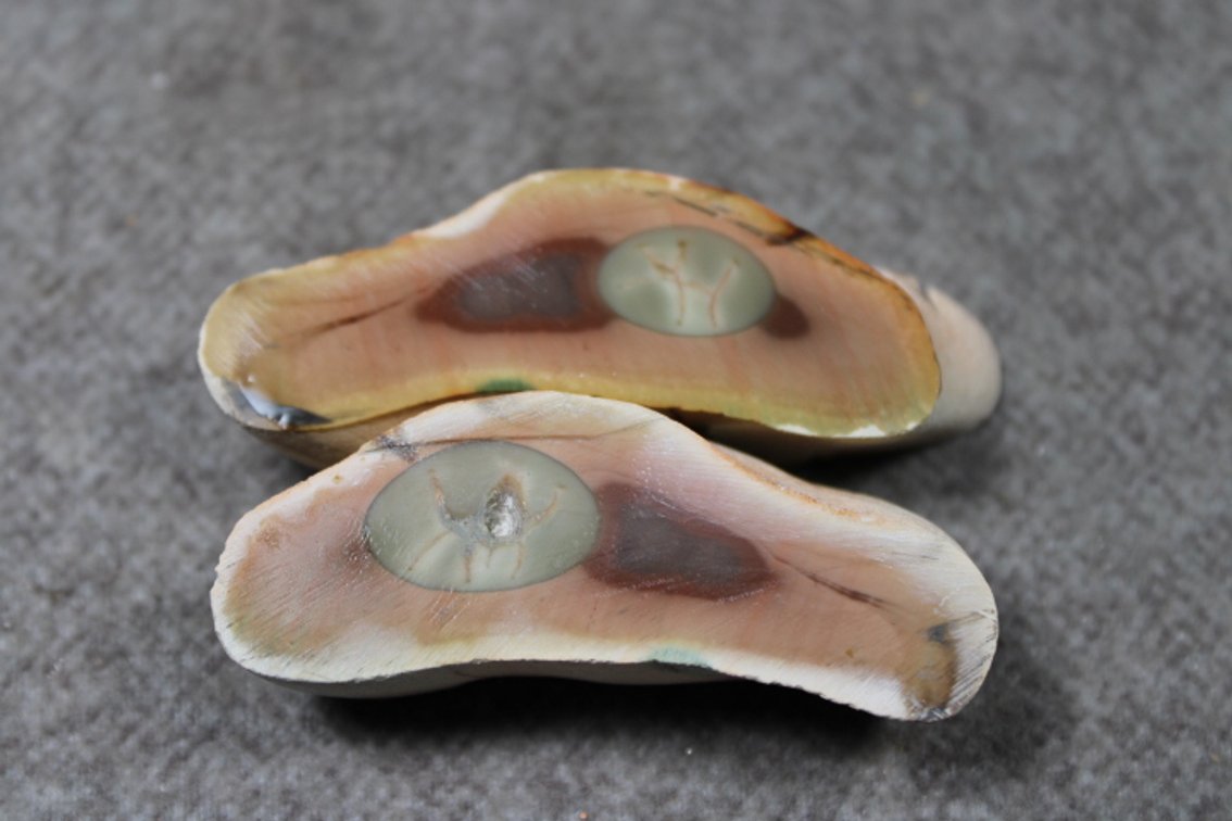 Two halves of Royal Imperial Jasper, 1.8 ozs