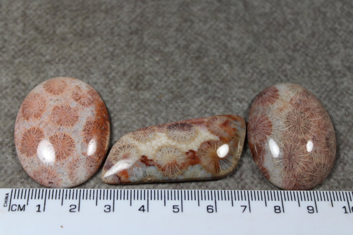 Three Coral cabochons