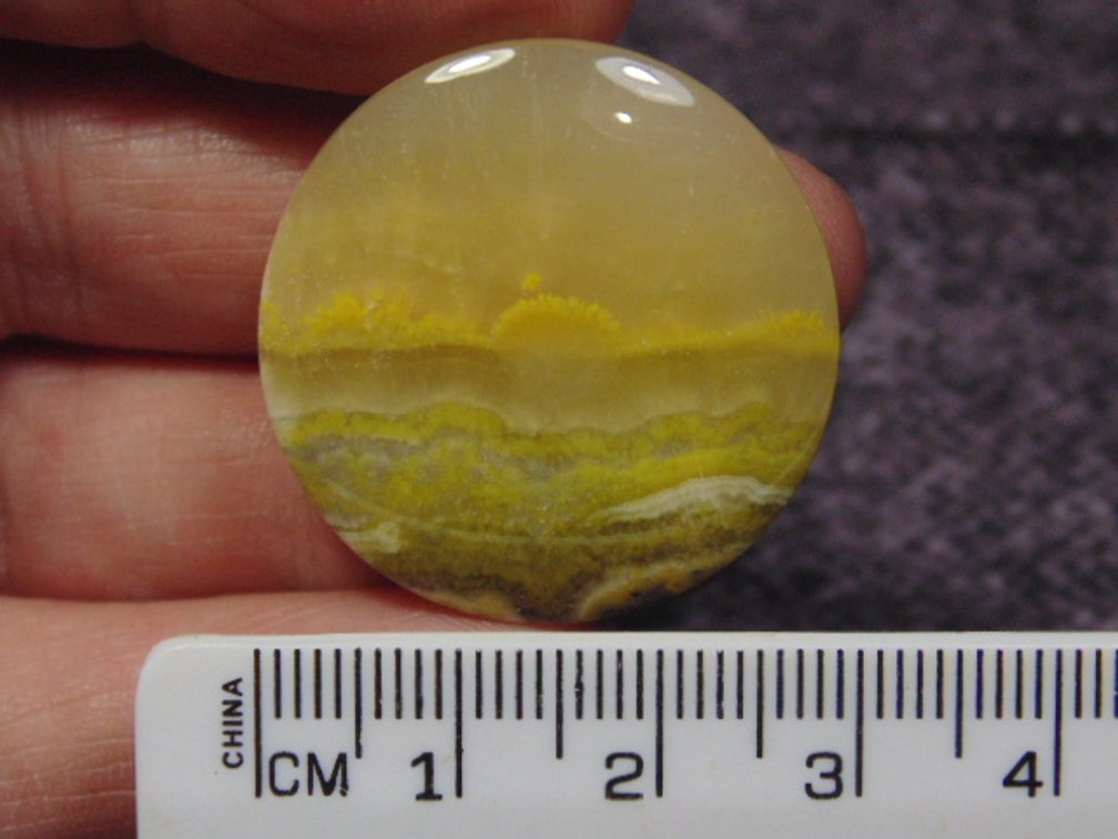A round Bumblebee Jasper cab, weighs 8.2 grams
