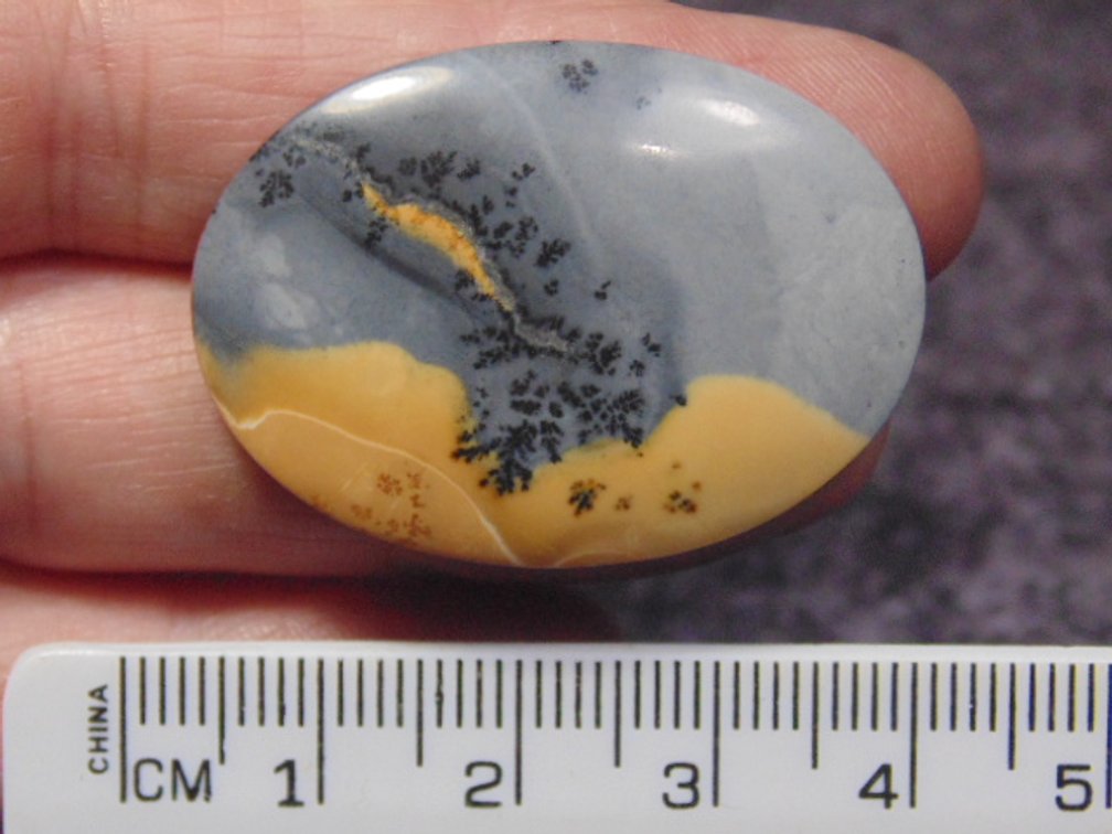 A oval Dendritic Jasper cab, weighs 9 grams