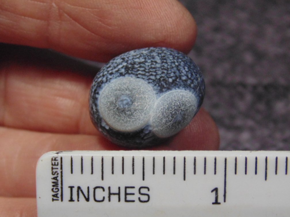 A natural Gobi Eye Agate, weighs 7.1 grams