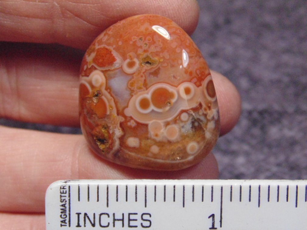 A polished Lake Superior Eye Agate, weighs 14.2 grams