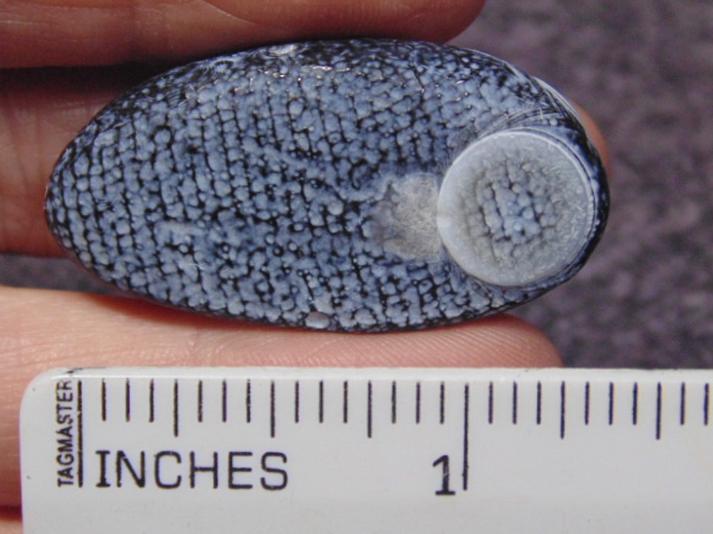 A natural Gobi Eye Agate, weighs 13.8 grams