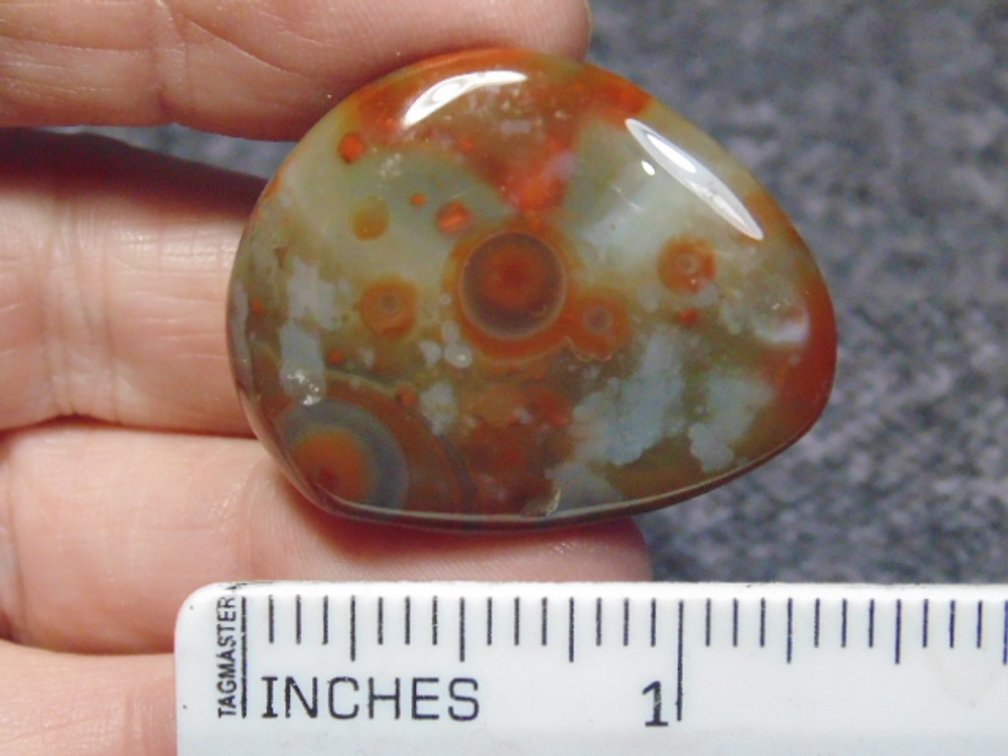 A polished Lake Superior Eye Agate, weighs 17.1 grams