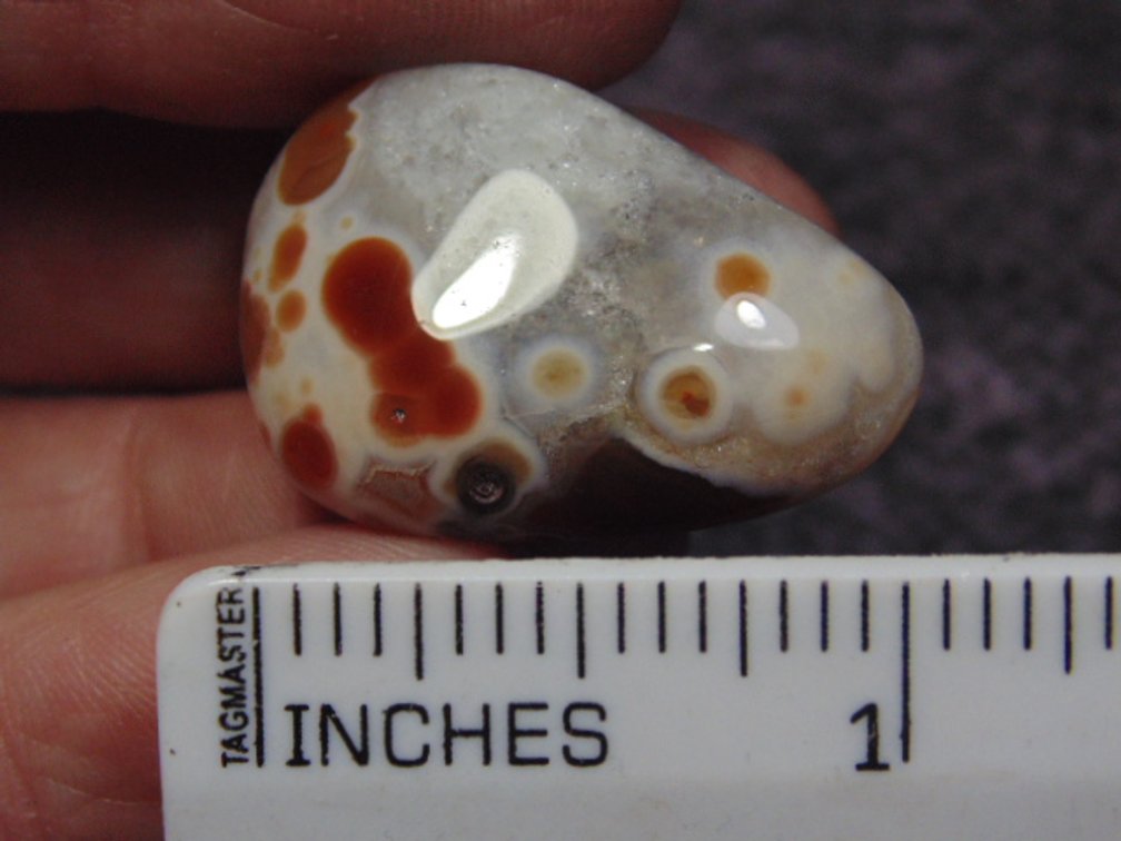 A polished Lake Superior Eye Agate, weighs 11.4 grams