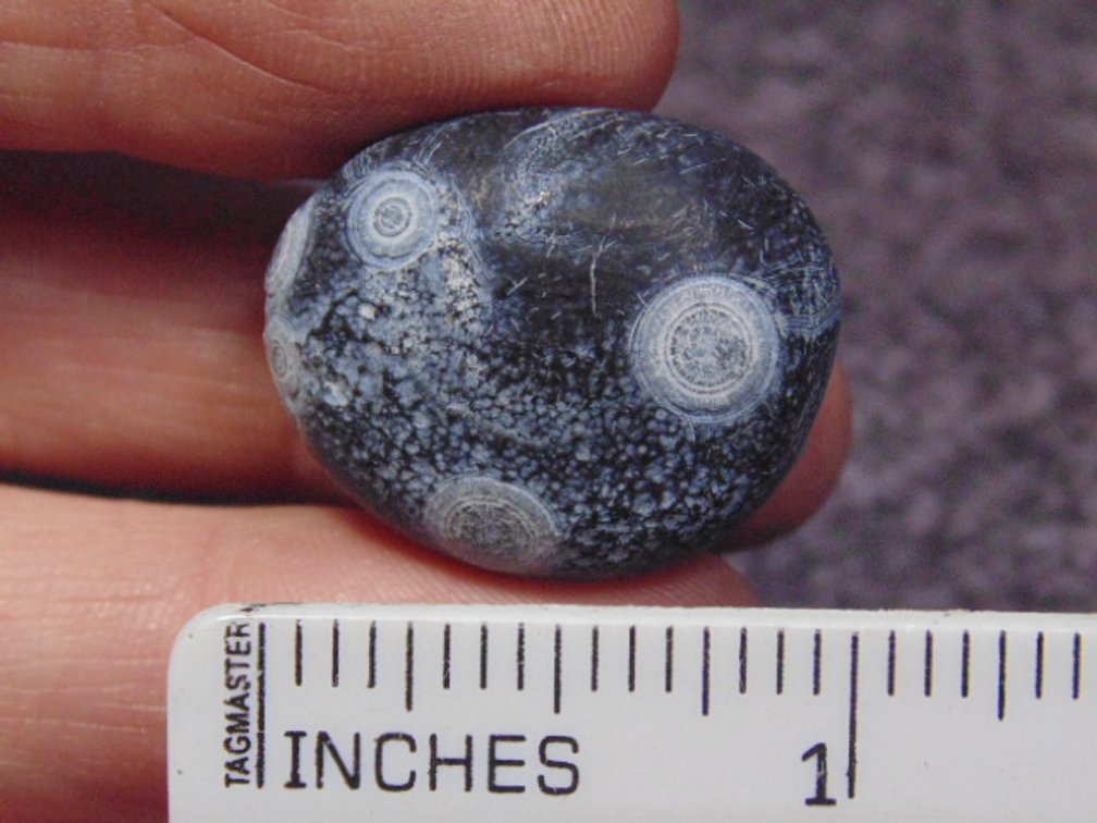 A natural Gobi Eye Agate, weighs 11.5 grams