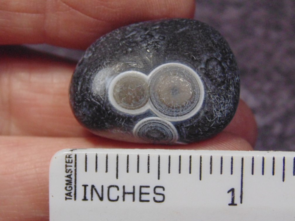 A natural Gobi Eye Agate, weighs 14.1 grams