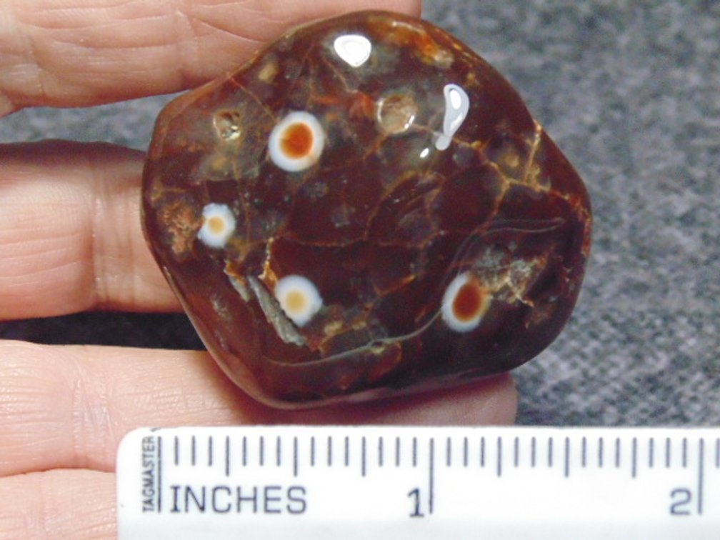 A polished Lake Superior Eye Agate, weighs 60.9 grams