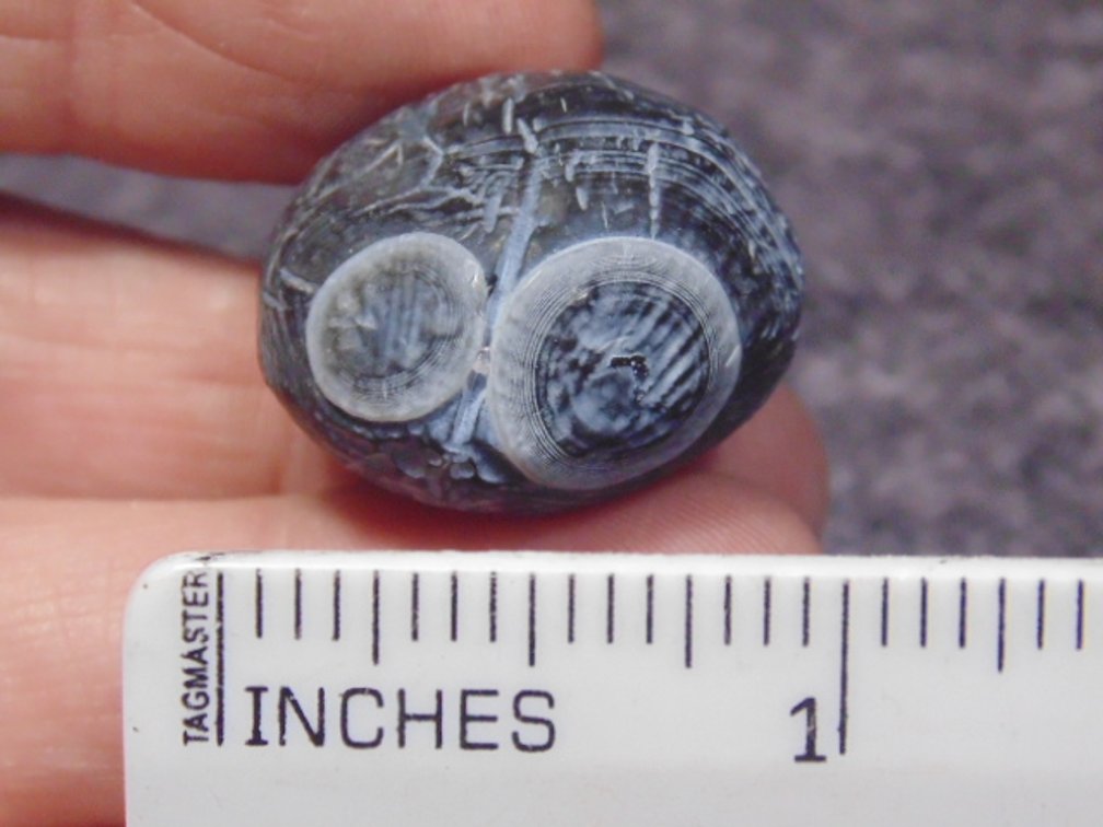 A natural Gobi Eye Agate, weighs 14.5 grams