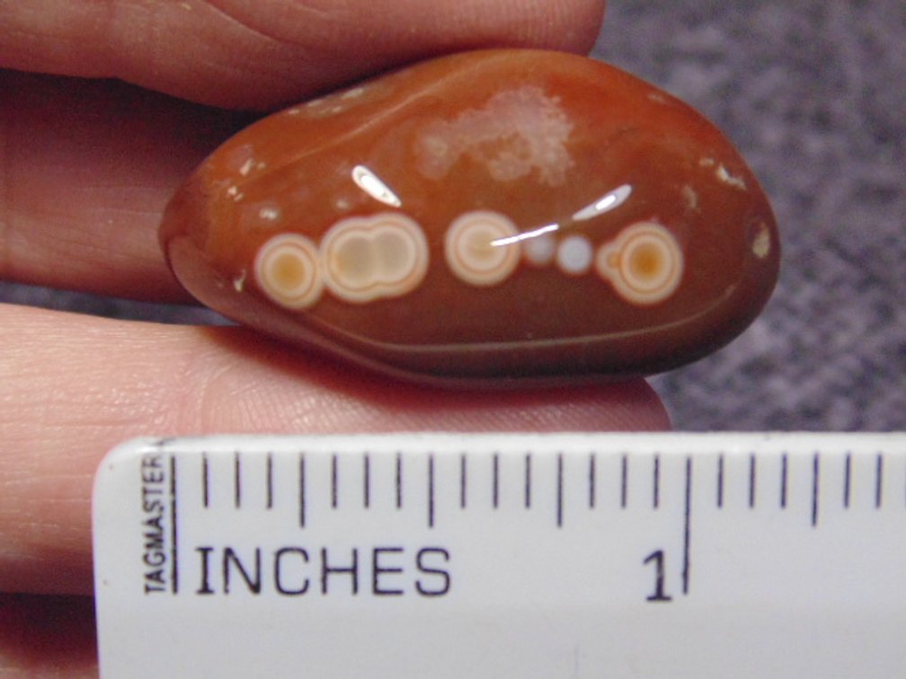 A polished Lake Superior Eye Agate, weighs 11.9 grams