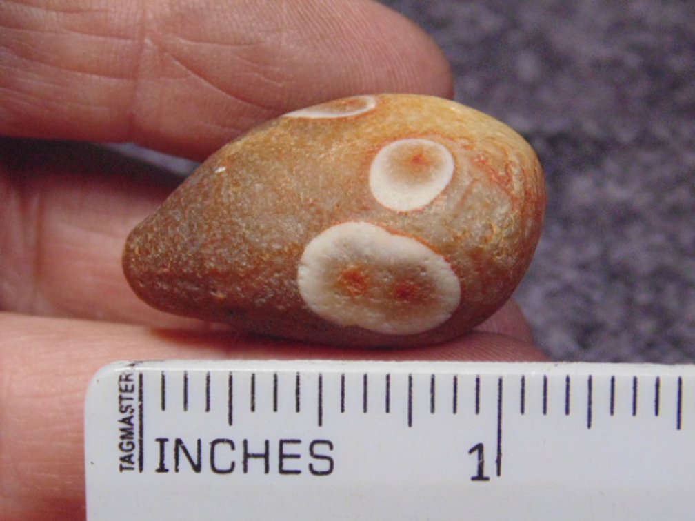 A natural Lake Superior Eye Agate, weighs 16.9 grams