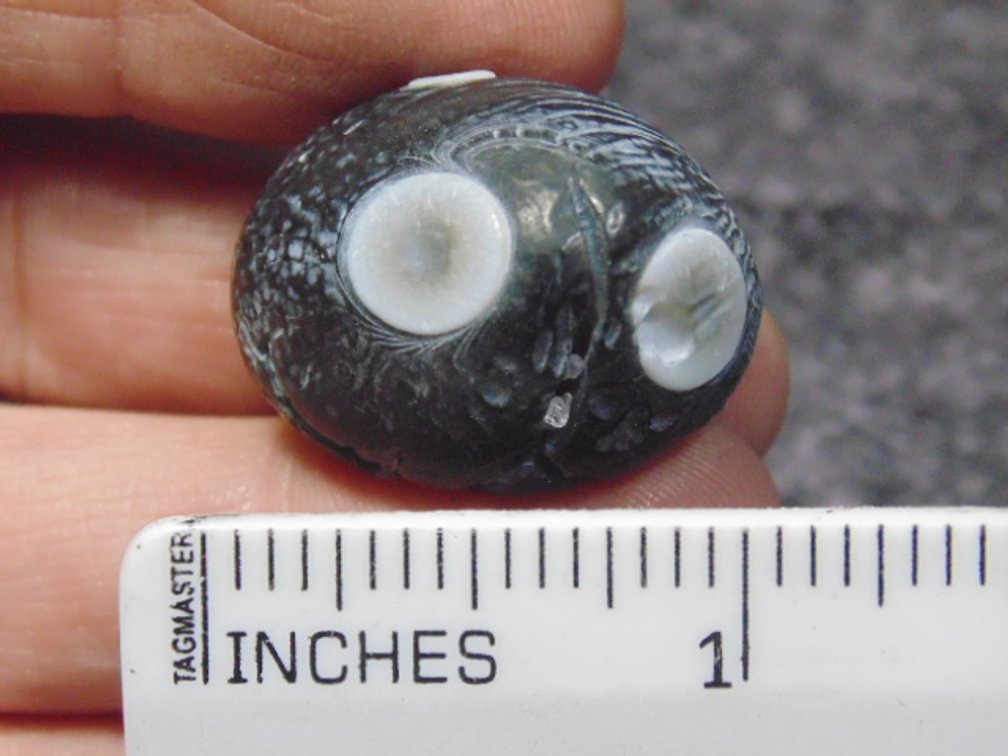 A natural Gobi Eye Agate, weighs 13.7 grams